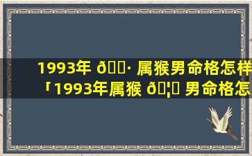 1993年 🌷 属猴男命格怎样「1993年属猴 🦋 男命格怎样才能旺财」